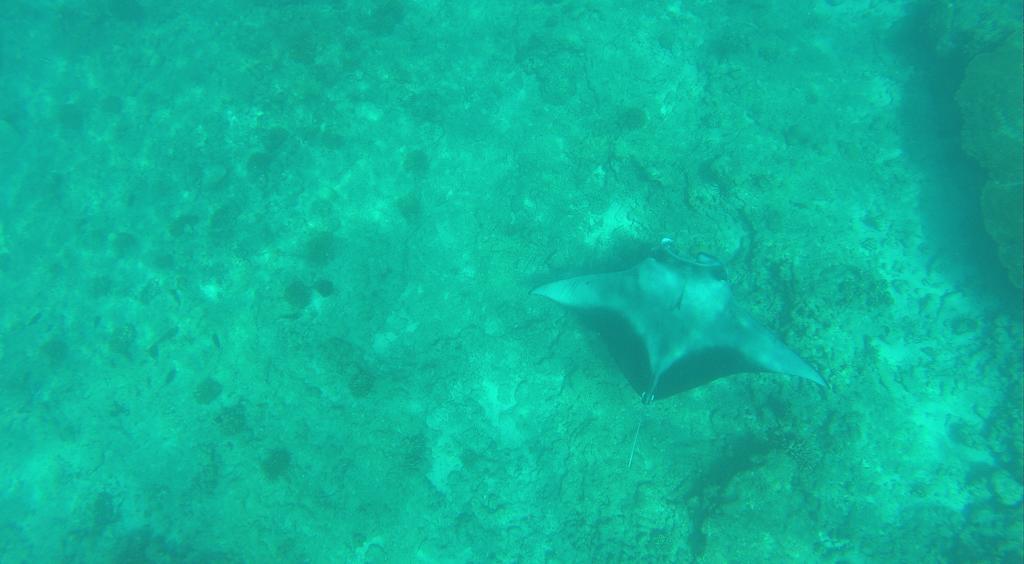 Kuri Beach View Inn Omadhoo Номер фото